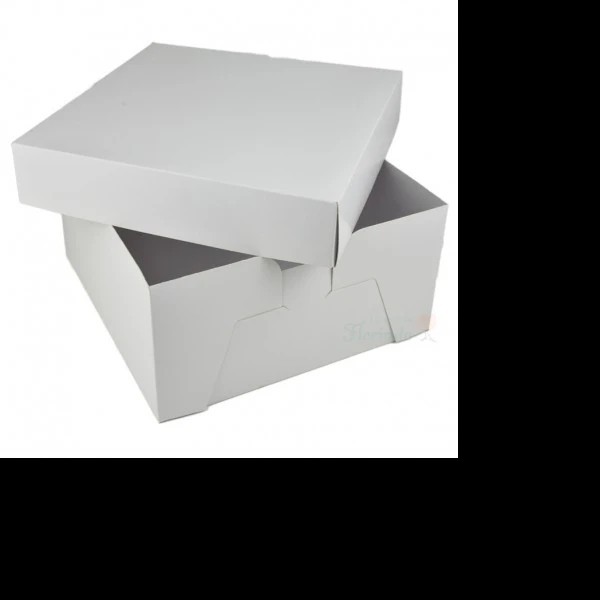 CAJA BLANCA PADI 30 42.5X29X6.5CM. JGOE10
